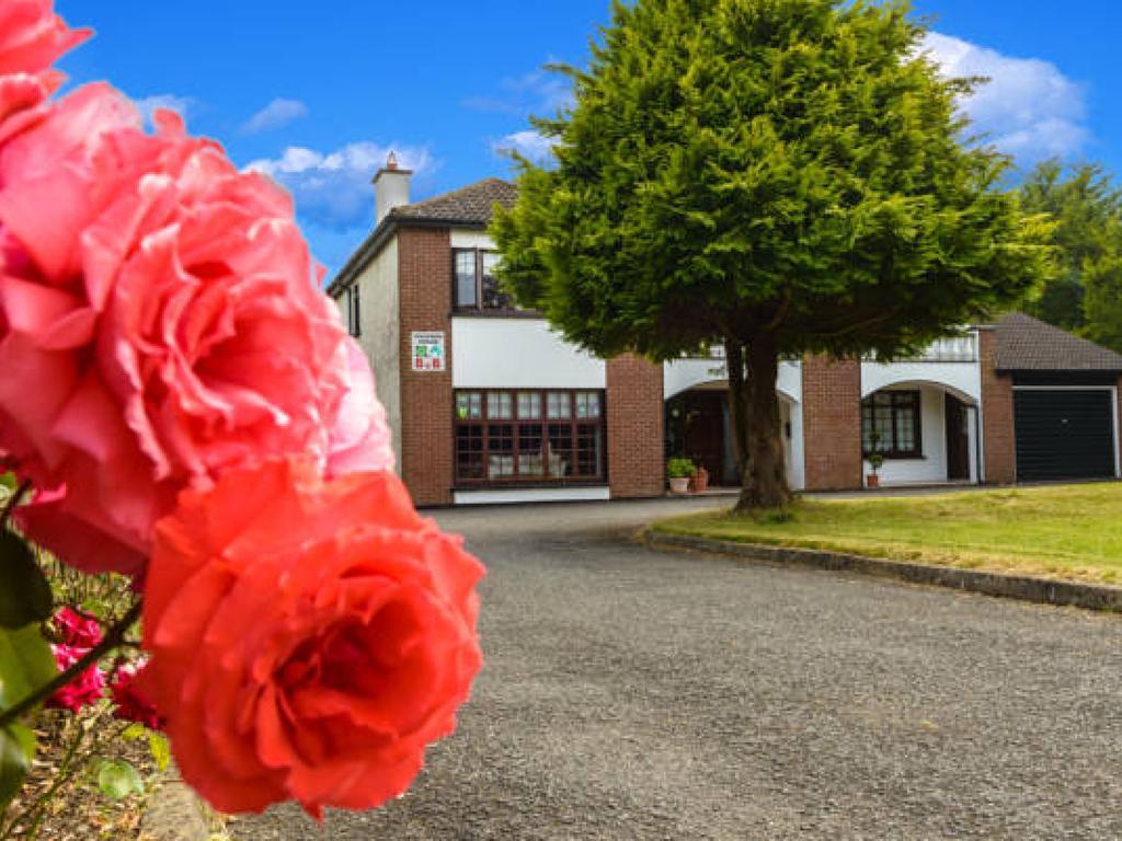 Killowen House B&B Дроэда Экстерьер фото