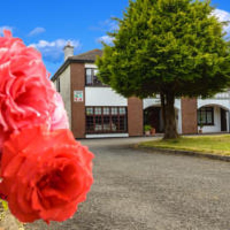 Killowen House B&B Дроэда Экстерьер фото